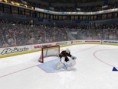 /album/skupina-a-spanielsko-polsko/nhl2009-2012-05-07-18-39-32-89-jpg/